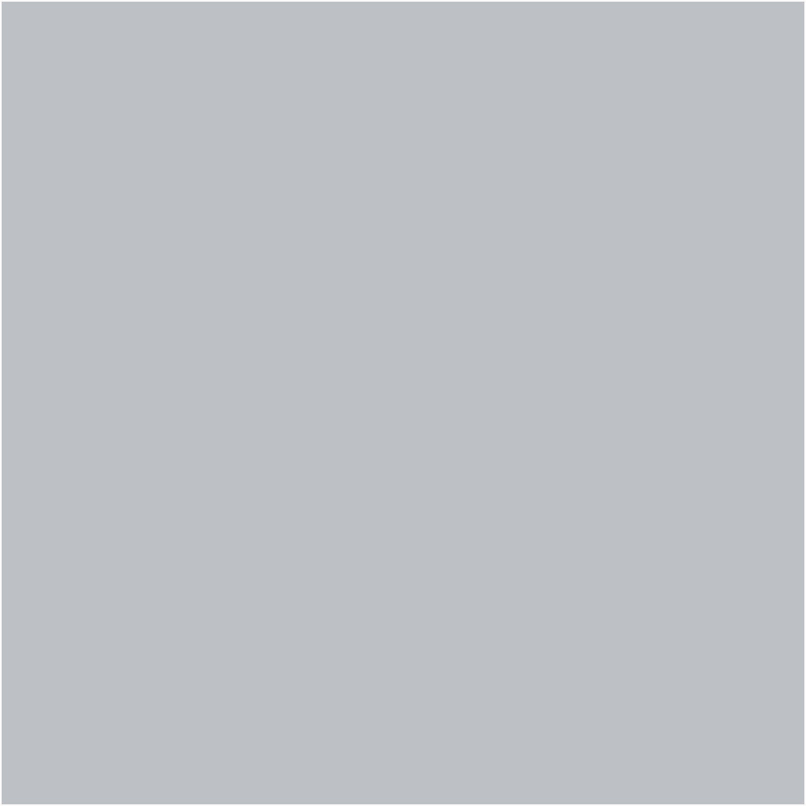 Platinum Ring, COMPLETE COAT Interior/Exterior Paint & Primer in One